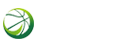 逛球街直播网